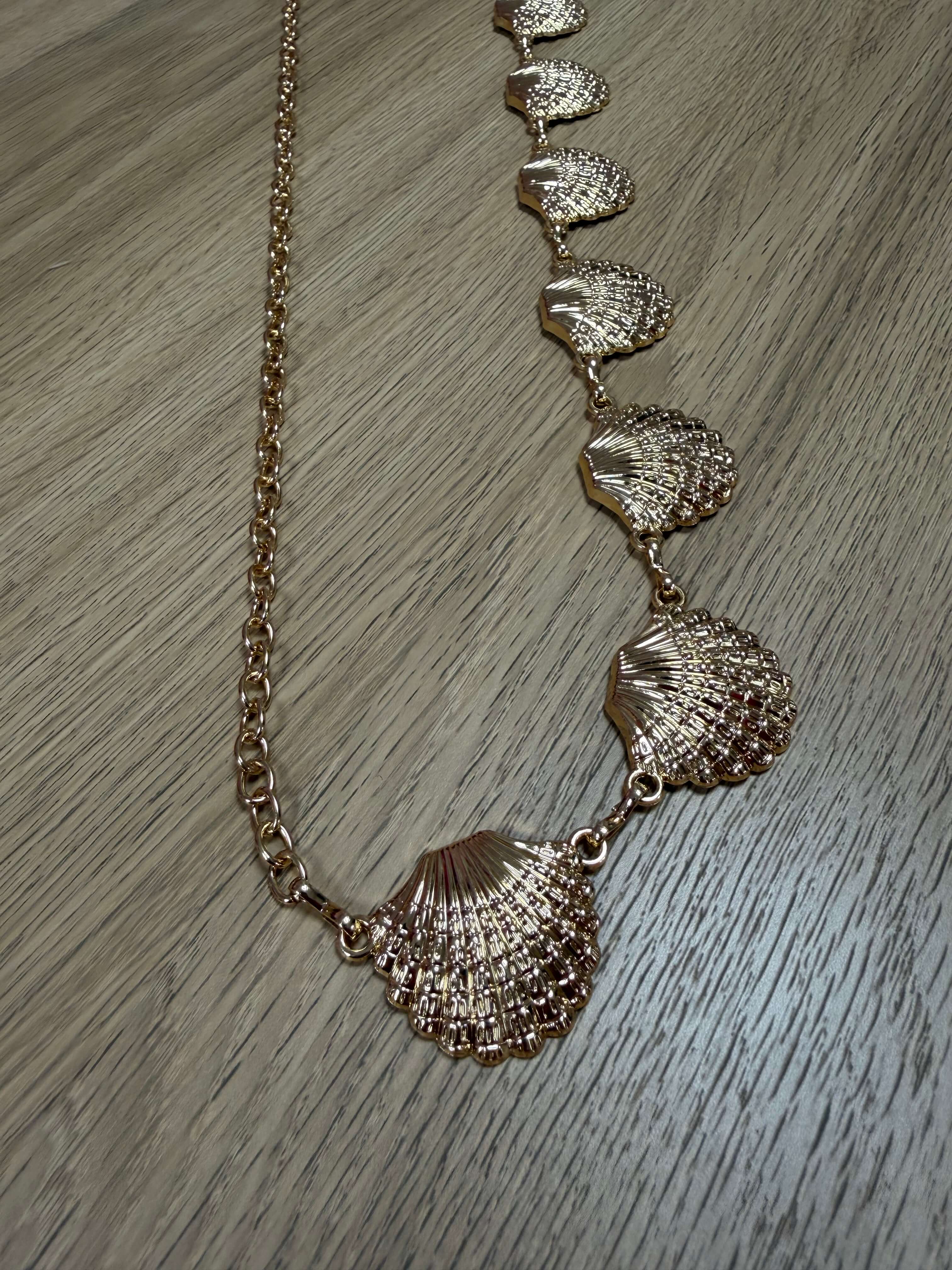 Ceinture - coquillages